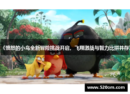 《愤怒的小鸟全新冒险挑战开启，飞翔激战与智力比拼并存》